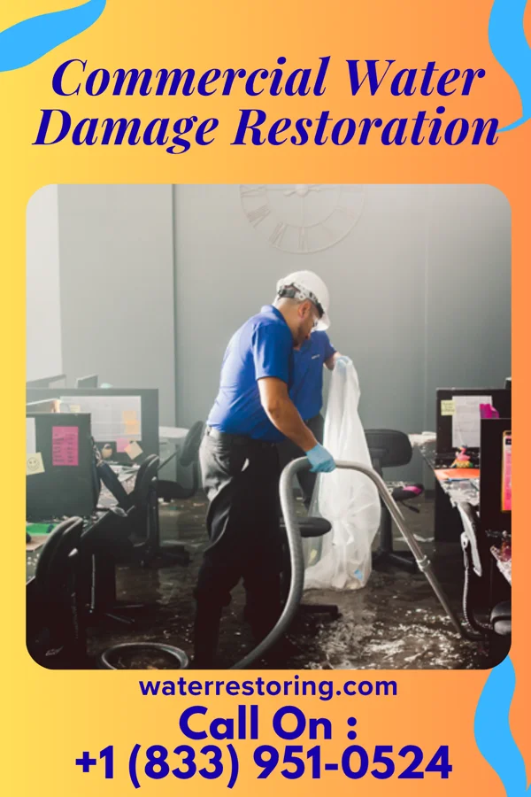 Commercial Water Damage Restoration in Newton Grove, NC