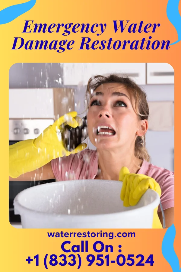 Emergency Water Damage Restoration in Newton Grove, NC